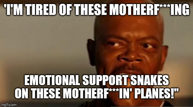 Snakes on the Plane Samuel L Jackson | 'I'M TIRED OF THESE MOTHERF***ING; EMOTIONAL SUPPORT SNAKES ON THESE MOTHERF***IN' PLANES!" | image tagged in snakes on the plane samuel l jackson | made w/ Imgflip meme maker