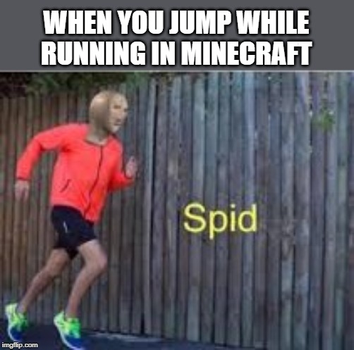 spid |  WHEN YOU JUMP WHILE RUNNING IN MINECRAFT | image tagged in spid | made w/ Imgflip meme maker
