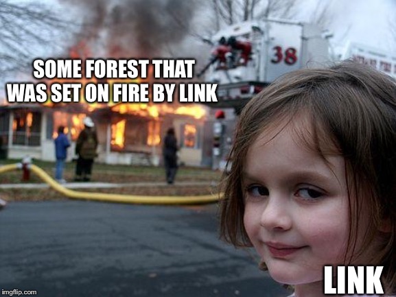 Disaster Girl | SOME FOREST THAT WAS SET ON FIRE BY LINK; LINK | image tagged in memes,disaster girl | made w/ Imgflip meme maker