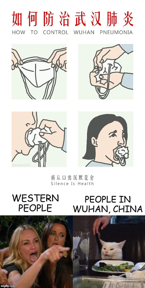 PEOPLE IN WUHAN, CHINA; WESTERN PEOPLE | image tagged in memes,woman yelling at cat | made w/ Imgflip meme maker