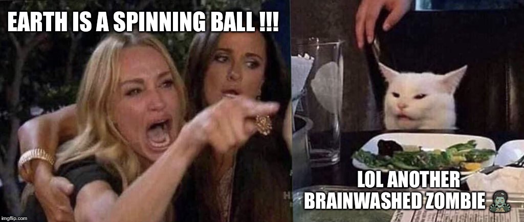 woman yelling at cat | EARTH IS A SPINNING BALL !!! LOL ANOTHER BRAINWASHED ZOMBIE 🧟‍♂️ | image tagged in woman yelling at cat | made w/ Imgflip meme maker