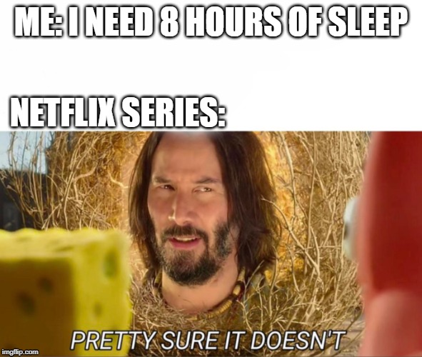 im pretty sure it doesnt | ME: I NEED 8 HOURS OF SLEEP; NETFLIX SERIES: | image tagged in im pretty sure it doesnt | made w/ Imgflip meme maker