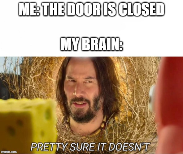 im pretty sure it doesnt | ME: THE DOOR IS CLOSED; MY BRAIN: | image tagged in im pretty sure it doesnt | made w/ Imgflip meme maker