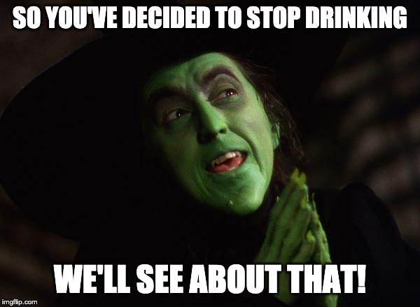 Wicked Witch West | SO YOU'VE DECIDED TO STOP DRINKING; WE'LL SEE ABOUT THAT! | image tagged in wicked witch west | made w/ Imgflip meme maker