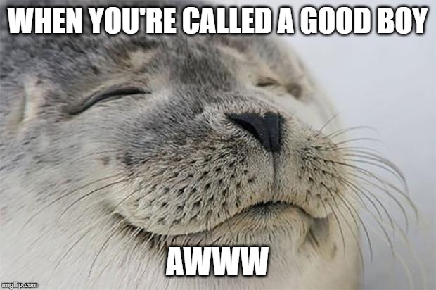 Satisfied Seal | WHEN YOU'RE CALLED A GOOD BOY; AWWW | image tagged in memes,satisfied seal | made w/ Imgflip meme maker