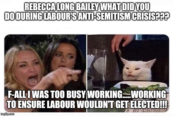 Woman shouting at cat | REBECCA LONG BAILEY WHAT DID YOU DO DURING LABOUR'S ANTI-SEMITISM CRISIS??? F-ALL I WAS TOO BUSY WORKING.....WORKING TO ENSURE LABOUR WOULDN'T GET ELECTED!!! | image tagged in woman shouting at cat | made w/ Imgflip meme maker