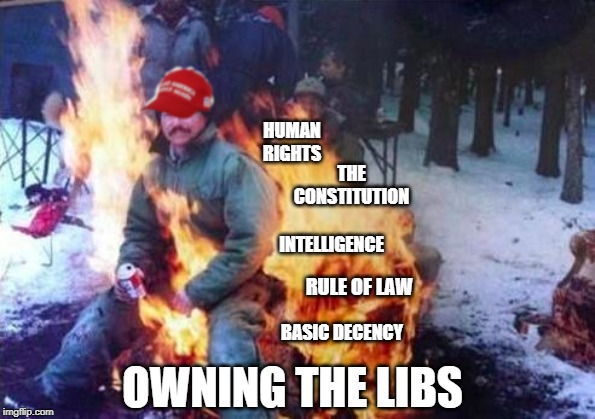 LIGAF: MAGA Edition | HUMAN RIGHTS; THE CONSTITUTION; INTELLIGENCE; RULE OF LAW; BASIC DECENCY; OWNING THE LIBS | image tagged in memes,maga,trump supporters | made w/ Imgflip meme maker