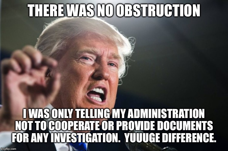 donald trump | THERE WAS NO OBSTRUCTION I WAS ONLY TELLING MY ADMINISTRATION NOT TO COOPERATE OR PROVIDE DOCUMENTS FOR ANY INVESTIGATION.  YUUUGE DIFFERENC | image tagged in donald trump | made w/ Imgflip meme maker