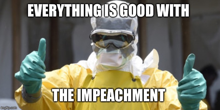 virus infection | EVERYTHING IS GOOD WITH; THE IMPEACHMENT | image tagged in virus infection | made w/ Imgflip meme maker