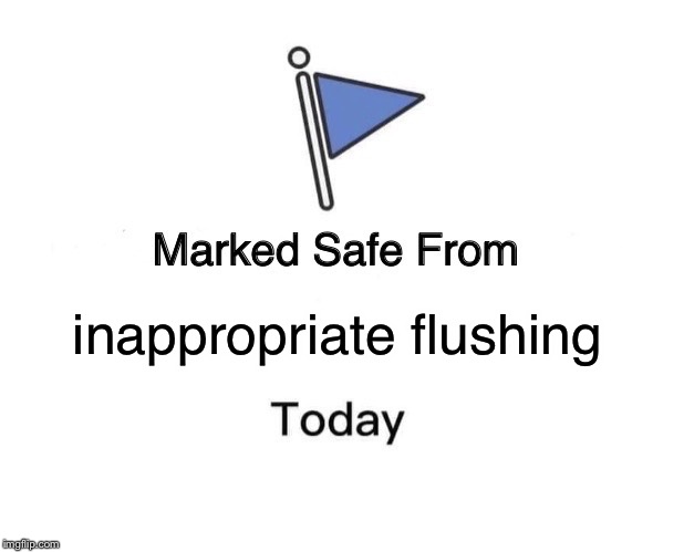 inappropriate flushing | image tagged in memes,marked safe from | made w/ Imgflip meme maker