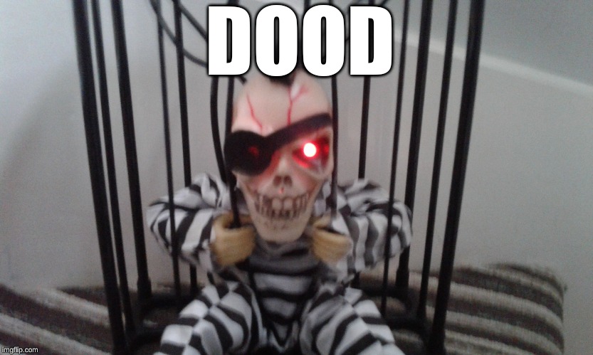 Angry skeleton | DOOD | image tagged in angry skeleton | made w/ Imgflip meme maker