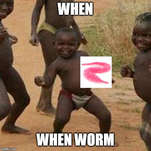 Third World Success Kid | WHEN; WHEN WORM | image tagged in memes,third world success kid | made w/ Imgflip meme maker