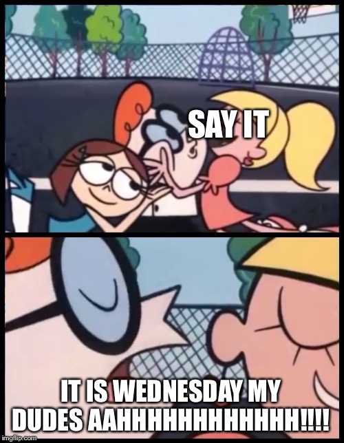 Say it Again, Dexter | SAY IT; IT IS WEDNESDAY MY DUDES AAHHHHHHHHHHHH!!!! | image tagged in memes,say it again dexter | made w/ Imgflip meme maker