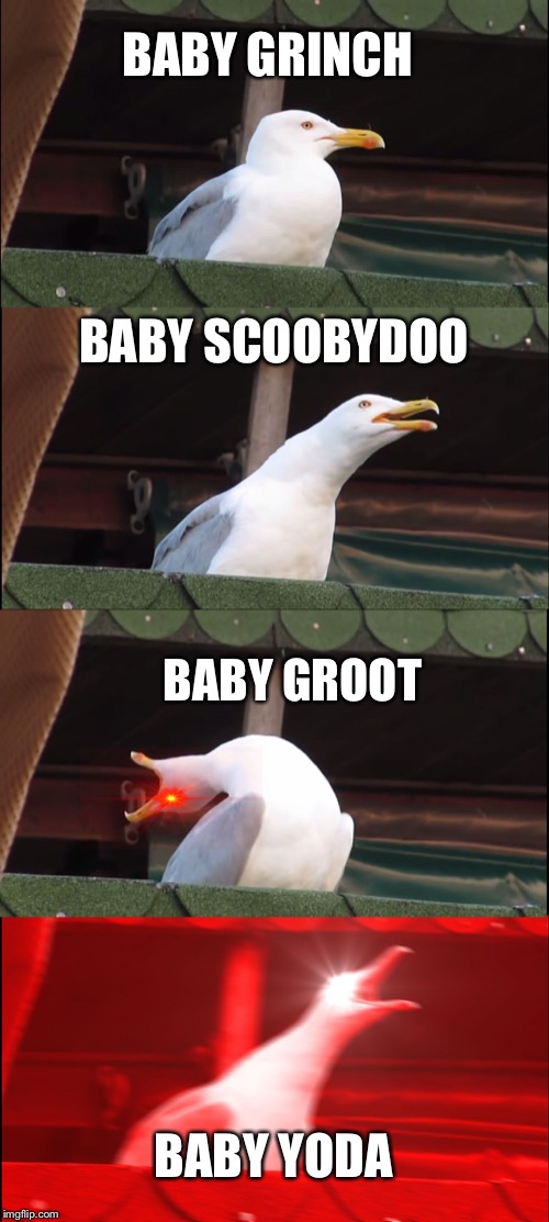 Inhaling Seagull Meme | BABY GRINCH; BABY SCOOBYDOO; BABY GROOT; BABY YODA | image tagged in memes,inhaling seagull | made w/ Imgflip meme maker