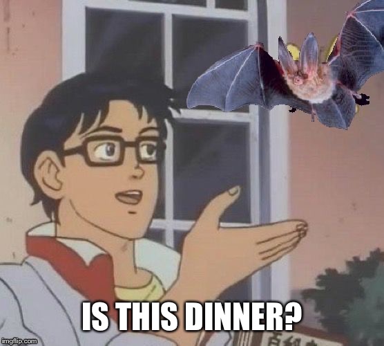 When your meal bites back | IS THIS DINNER? | image tagged in chinese food | made w/ Imgflip meme maker