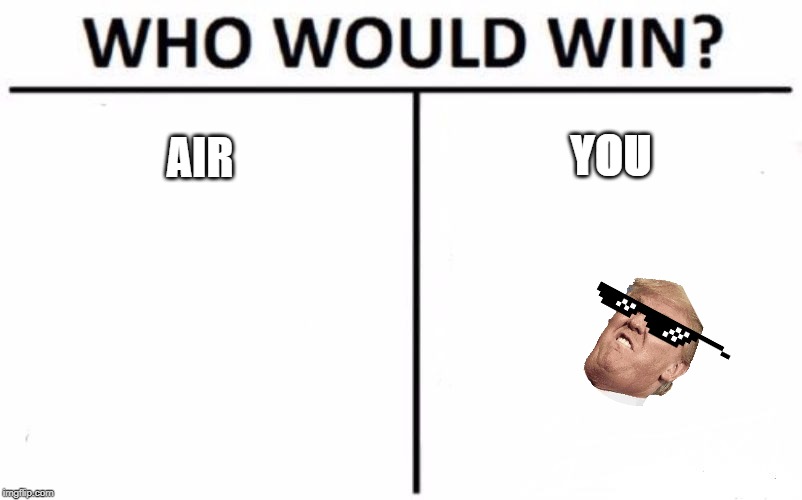 Who Would Win? Meme | YOU; AIR | image tagged in memes,who would win | made w/ Imgflip meme maker