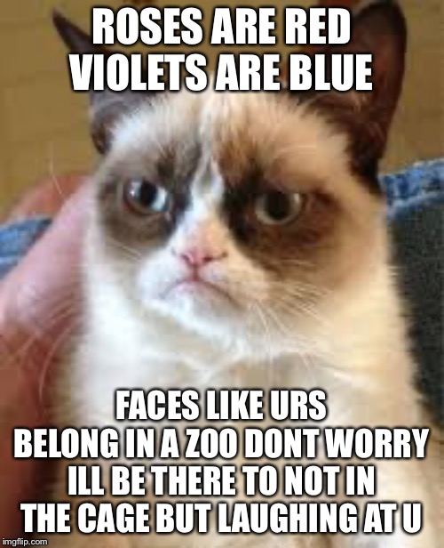 Grumpy cat memes | ROSES ARE RED VIOLETS ARE BLUE; FACES LIKE URS BELONG IN A ZOO DONT WORRY ILL BE THERE TO NOT IN THE CAGE BUT LAUGHING AT U | image tagged in grumpy cat | made w/ Imgflip meme maker