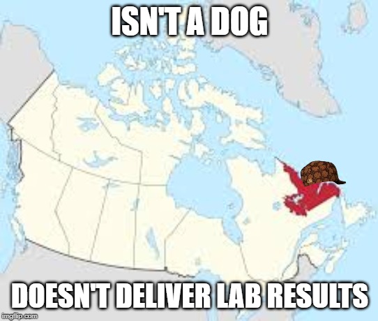 ISN'T A DOG; DOESN'T DELIVER LAB RESULTS | image tagged in shittyadviceanimals | made w/ Imgflip meme maker