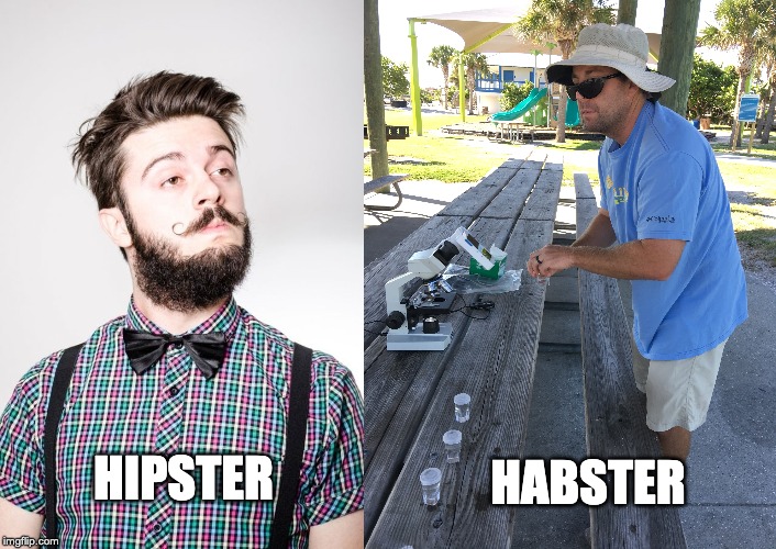 Hipster vs HABster | HABSTER; HIPSTER | image tagged in hab,science,marine biology,oceanography,phytoplankton,karenia brevis | made w/ Imgflip meme maker
