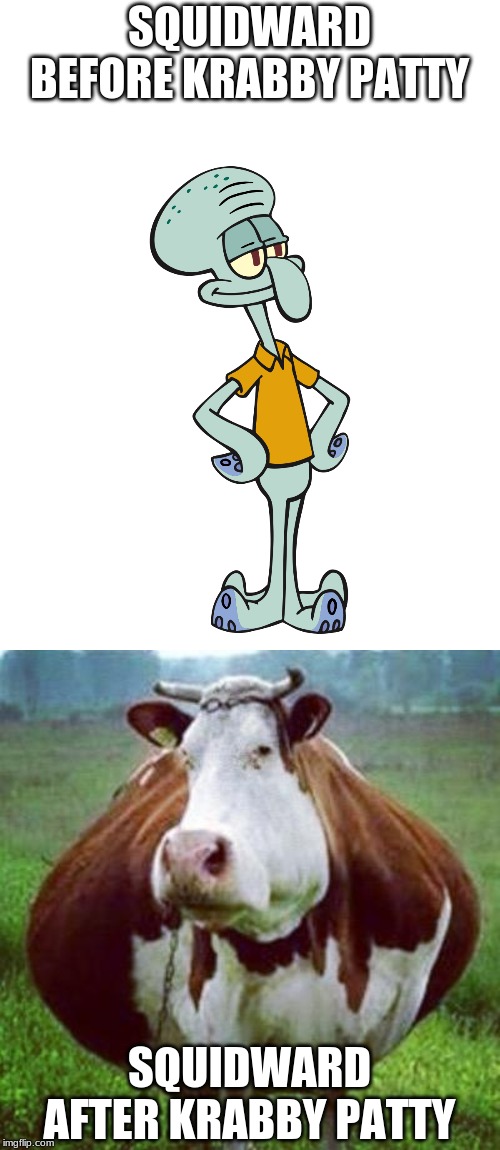 SQUIDWARD BEFORE KRABBY PATTY; SQUIDWARD AFTER KRABBY PATTY | image tagged in spongebob,cows,fat monsters | made w/ Imgflip meme maker
