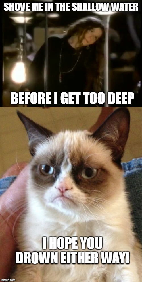 What I Am? | SHOVE ME IN THE SHALLOW WATER; BEFORE I GET TOO DEEP; I HOPE YOU DROWN EITHER WAY! | image tagged in memes,grumpy cat | made w/ Imgflip meme maker