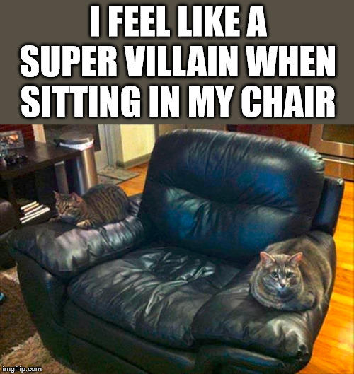 I would like 1 million dollars. mmmmmwwwwahahahahahaha | I FEEL LIKE A SUPER VILLAIN WHEN SITTING IN MY CHAIR | image tagged in laughing villains,cats | made w/ Imgflip meme maker