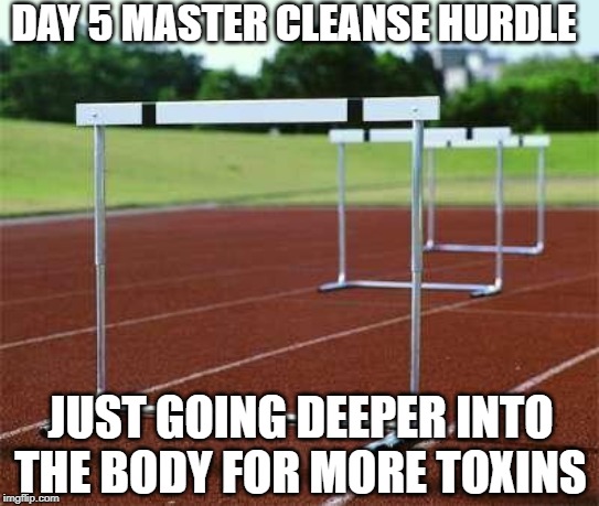 hurdles | DAY 5 MASTER CLEANSE HURDLE; JUST GOING DEEPER INTO THE BODY FOR MORE TOXINS | image tagged in hurdles | made w/ Imgflip meme maker