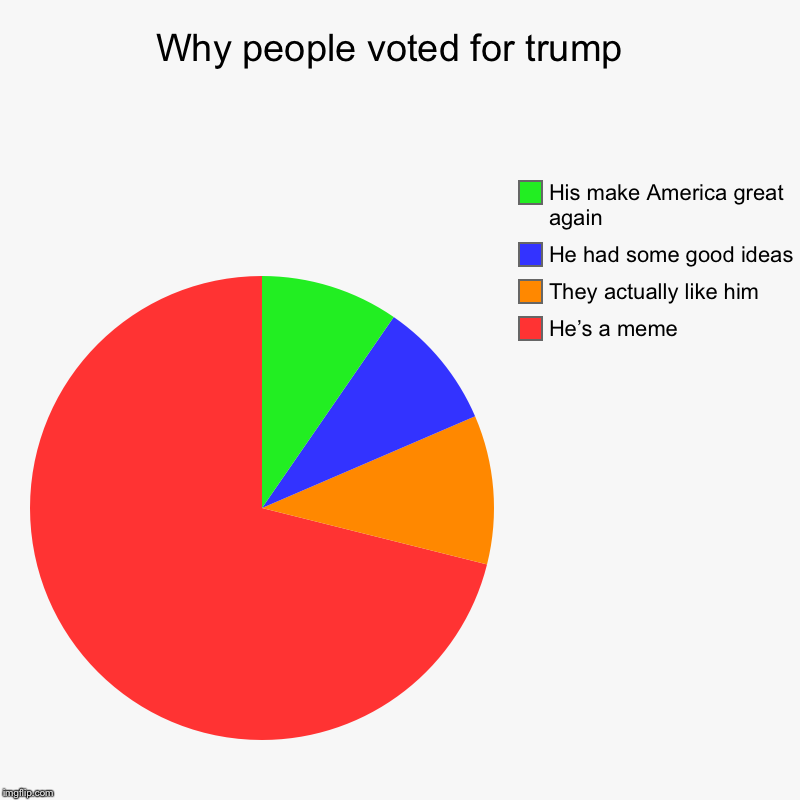 Why people voted for trump  | He’s a meme, They actually like him, He had some good ideas, His make America great again | image tagged in charts,pie charts | made w/ Imgflip chart maker