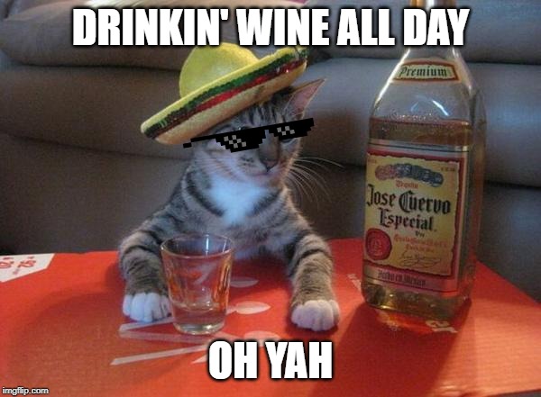 alcohol cat | DRINKIN' WINE ALL DAY; OH YAH | image tagged in alcohol cat | made w/ Imgflip meme maker
