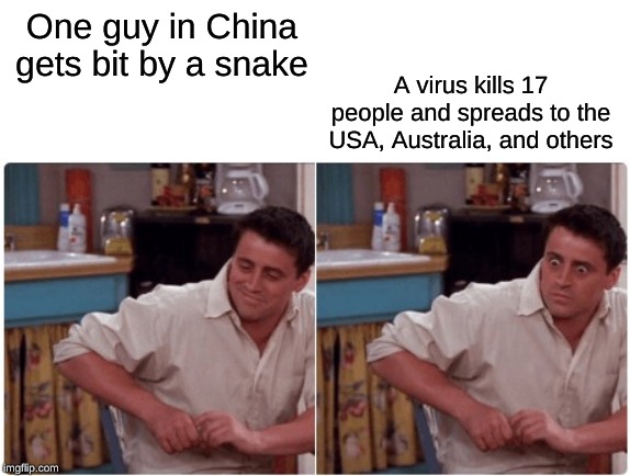 Joey from Friends | One guy in China gets bit by a snake; A virus kills 17 people and spreads to the USA, Australia, and others | image tagged in joey from friends | made w/ Imgflip meme maker