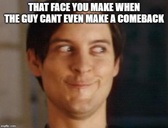 Spiderman Peter Parker Meme | THAT FACE YOU MAKE WHEN THE GUY CANT EVEN MAKE A COMEBACK | image tagged in memes,spiderman peter parker | made w/ Imgflip meme maker