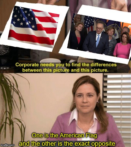 When your party goes so crazy that they make the Flag a hate symbol | One is the American Flag; and the other is the exact opposite | image tagged in office same picture,political meme,memes,democratic party | made w/ Imgflip meme maker