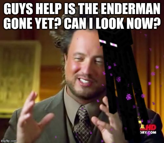 GUYS HELP IS THE ENDERMAN GONE YET? CAN I LOOK NOW? | made w/ Imgflip meme maker