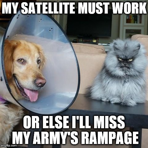 My Satellite Must Work | image tagged in colonel meow,memes,funny,cats,animals,dogs | made w/ Imgflip meme maker