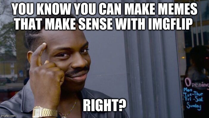 Roll Safe Think About It | YOU KNOW YOU CAN MAKE MEMES THAT MAKE SENSE WITH IMGFLIP; RIGHT? | image tagged in memes,roll safe think about it | made w/ Imgflip meme maker