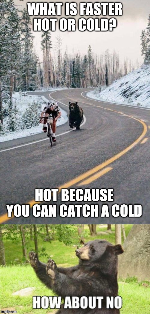 WHAT IS FASTER HOT OR COLD? HOT BECAUSE YOU CAN CATCH A COLD | image tagged in bear running after cyclist | made w/ Imgflip meme maker