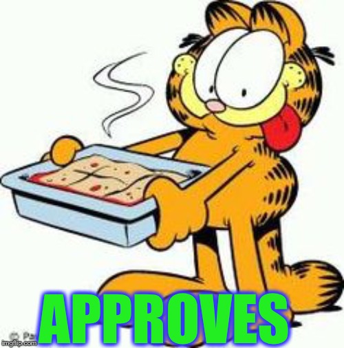 Garfield Lasagna | APPROVES | image tagged in garfield lasagna | made w/ Imgflip meme maker