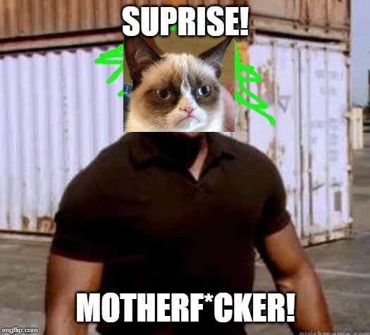 SUPRISE! MOTHERF*CKER! | made w/ Imgflip meme maker