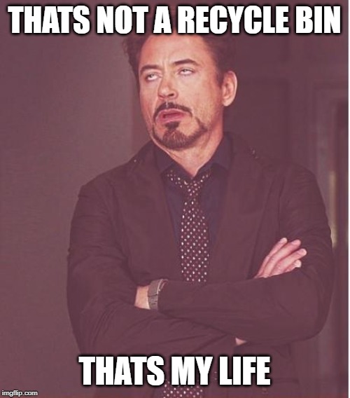 Face You Make Robert Downey Jr | THATS NOT A RECYCLE BIN; THATS MY LIFE | image tagged in memes,face you make robert downey jr | made w/ Imgflip meme maker