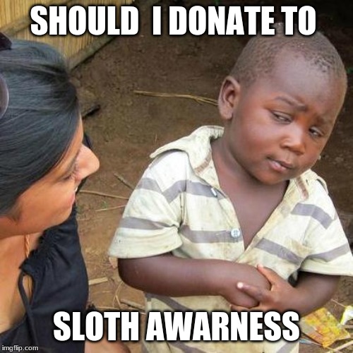 Third World Skeptical Kid Meme | SHOULD  I DONATE TO; SLOTH AWARNESS | image tagged in memes,third world skeptical kid | made w/ Imgflip meme maker