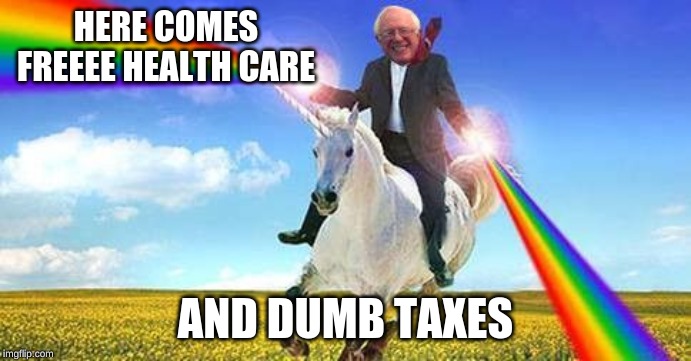 Bernie Sanders on magical unicorn | HERE COMES FREEEE HEALTH CARE; AND DUMB TAXES | image tagged in bernie sanders on magical unicorn | made w/ Imgflip meme maker
