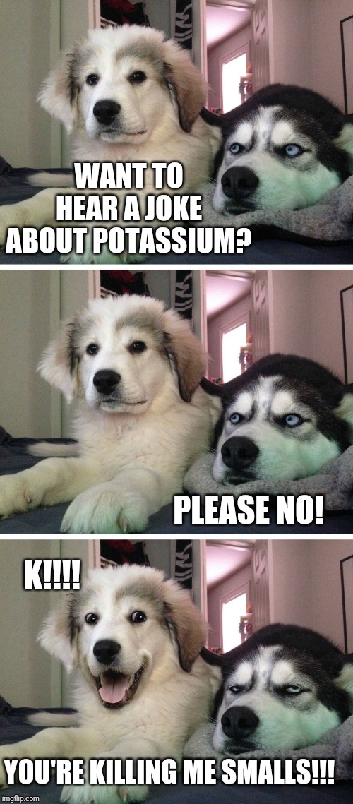 Dog bad joke | WANT TO HEAR A JOKE ABOUT POTASSIUM? PLEASE NO! K!!!! YOU'RE KILLING ME SMALLS!!! | image tagged in dog bad joke | made w/ Imgflip meme maker