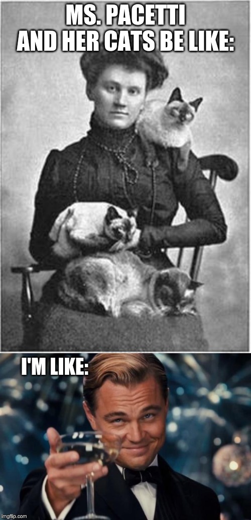 MS. PACETTI AND HER CATS BE LIKE:; I'M LIKE: | image tagged in vintage cat lady,leonardo dicaprio cheers you doing you me doing me | made w/ Imgflip meme maker