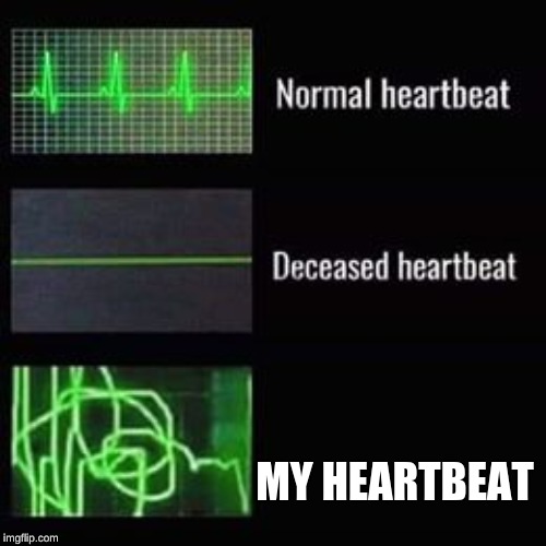 heartbeat rate | MY HEARTBEAT | image tagged in heartbeat rate | made w/ Imgflip meme maker
