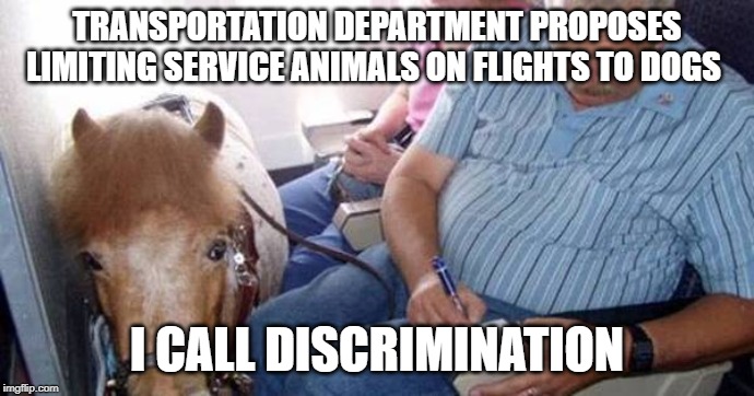Support animals discriminated against | TRANSPORTATION DEPARTMENT PROPOSES LIMITING SERVICE ANIMALS ON FLIGHTS TO DOGS; I CALL DISCRIMINATION | image tagged in support animals | made w/ Imgflip meme maker
