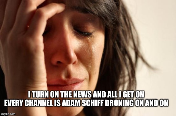 First World Problems | I TURN ON THE NEWS AND ALL I GET ON EVERY CHANNEL IS ADAM SCHIFF DRONING ON AND ON | image tagged in memes,first world problems | made w/ Imgflip meme maker
