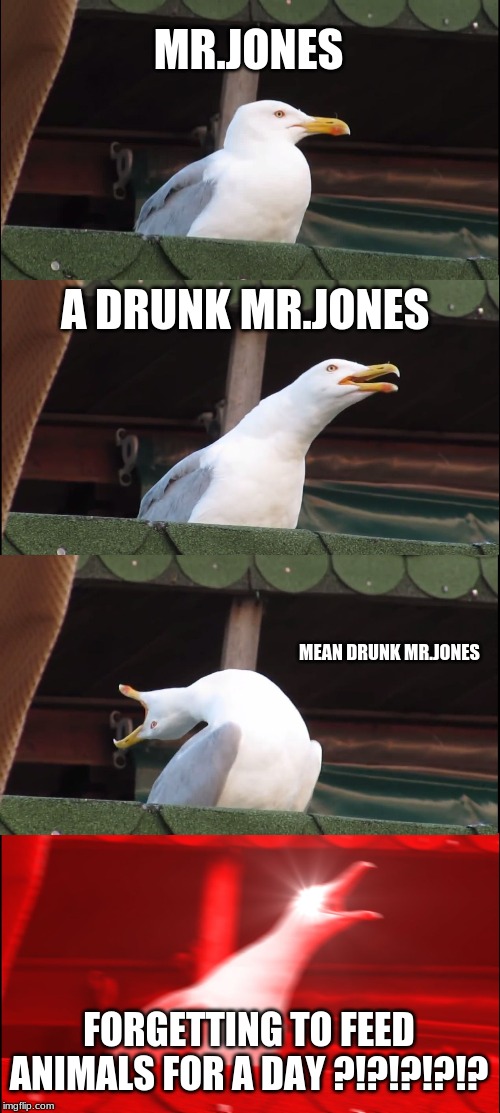 Inhaling Seagull Meme | MR.JONES; A DRUNK MR.JONES; MEAN DRUNK MR.JONES; FORGETTING TO FEED ANIMALS FOR A DAY ?!?!?!?!? | image tagged in memes,inhaling seagull | made w/ Imgflip meme maker