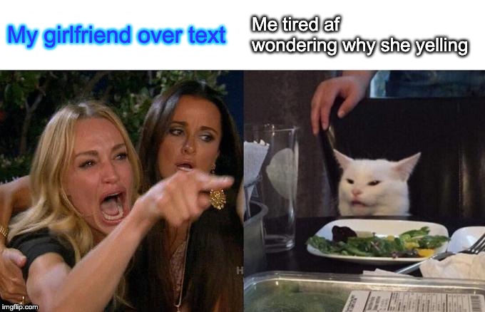 Woman Yelling At Cat Meme | My girlfriend over text; Me tired af wondering why she yelling | image tagged in memes,woman yelling at cat | made w/ Imgflip meme maker