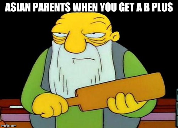 That's a paddlin' Meme | ASIAN PARENTS WHEN YOU GET A B PLUS | image tagged in memes,that's a paddlin' | made w/ Imgflip meme maker
