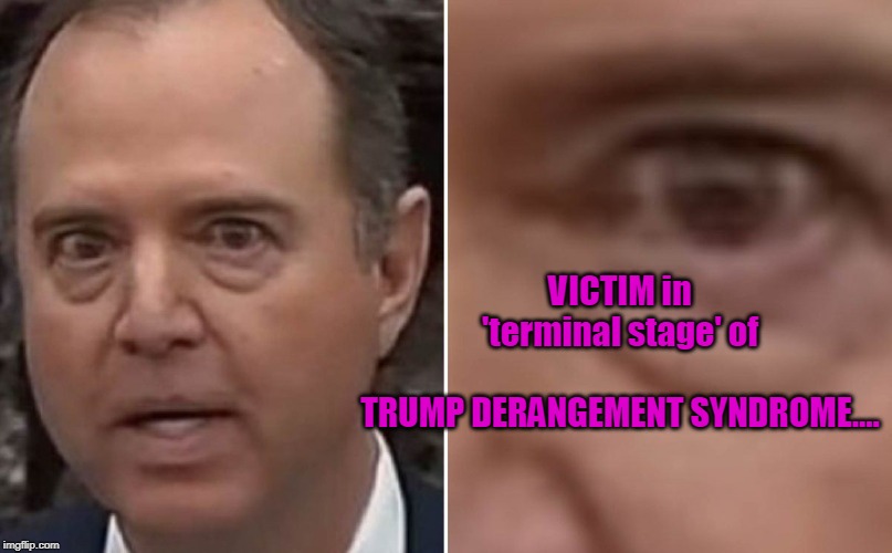 Yes, Trump Is STILL Your President and Will Be Again!! | VICTIM in 'terminal stage' of                     
TRUMP DERANGEMENT SYNDROME.... | image tagged in politics,political meme,political,political humor,politicians,politics lol | made w/ Imgflip meme maker